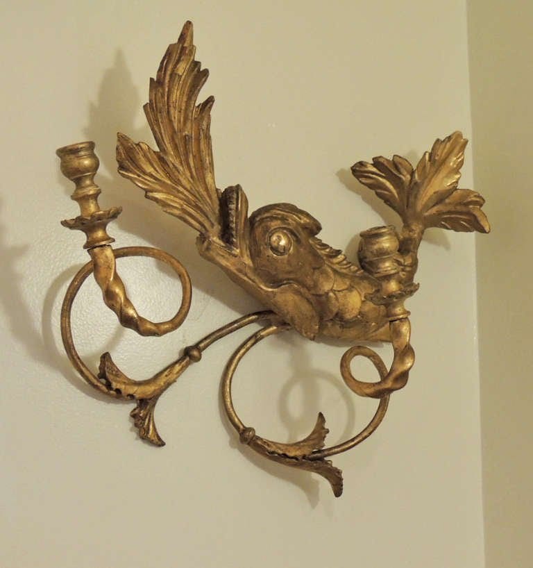 19th Century American Dolphin Giltwood Sconces