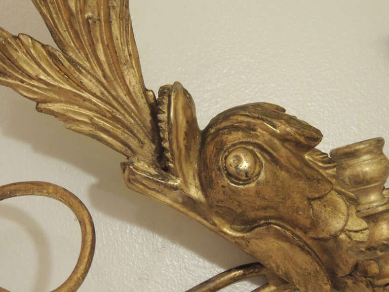 19th Century American Dolphin Giltwood Sconces