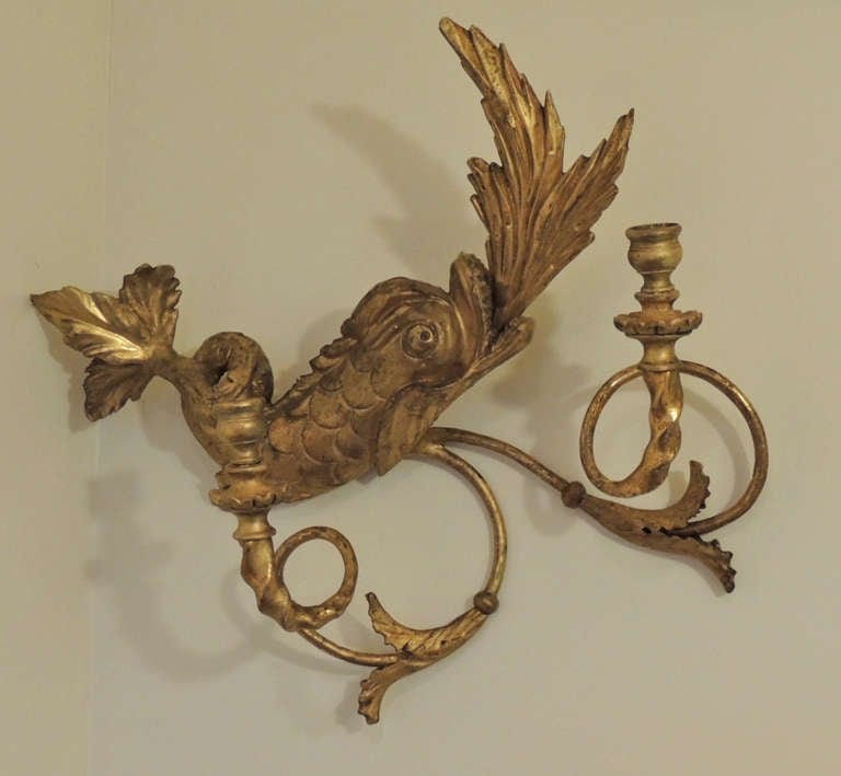 19th Century American Dolphin Giltwood Sconces
