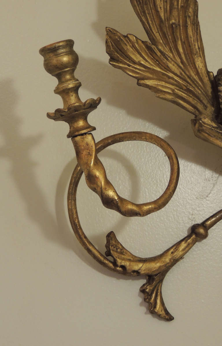 19th Century American Dolphin Giltwood Sconces